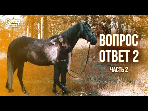 Видео: ВОПРОС - ОТВЕТ 2 | часть 2
