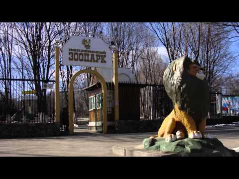 Видео: Экскурсия по Пензе