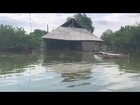Видео: Мақтаарал жұртын әуреге салған топан су