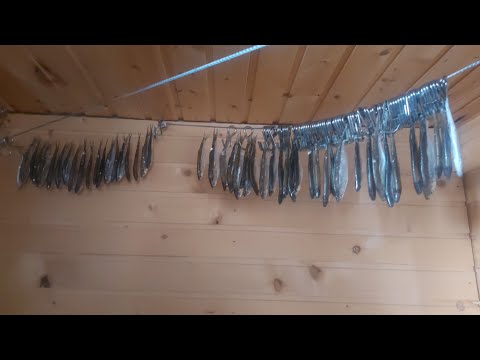 Видео: КЛЕВАЛО ВЕСЬ ДЕНЬ О ТАКОЙ РЫБАЛКЕ Я ТОЛЬКО МЕЧТАЛ.