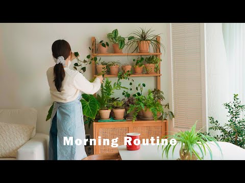 Видео: [Влог] Утренняя рутина домохозяйки, которая встает рано утром / Полезный сэндвич, уход за растениями