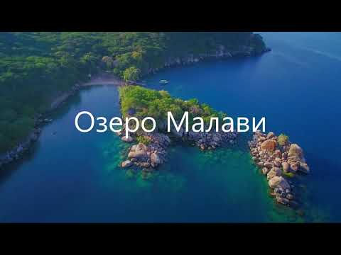 Видео: Озеро Малави Цихлиды