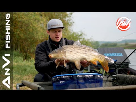 Видео: Флет-Фідер в англійському стилі! Темповий флет-фідер