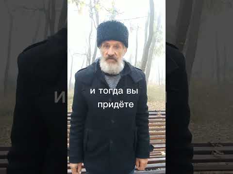 Видео: Очередная встреча с Баяном