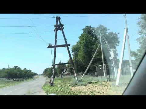 Видео: Актобе - Талдысай. Обзор поселка. Гигантские деревья.