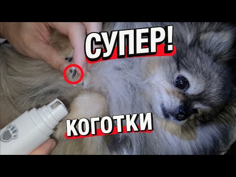 Видео: Машинка для стрижки когтей у собак с Алиэкспресс