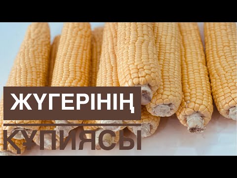 Видео: Жүгеріні қыс мезгіліне сақтаудың және оны пісірудің құпиясымен бөлістім| жүгері-В тобы витаминдері