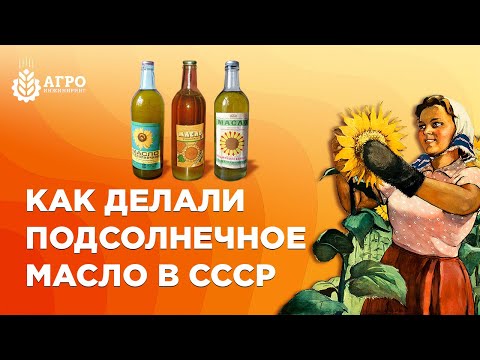 Видео: Подсолнечное масло из СССР, как его делали и как делают масло сейчас.