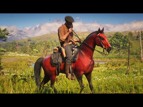 Видео: ЛУЧШИЕ ЛОШАДИ! - Red Dead Redemption 2