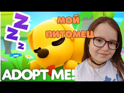 Видео: Собираю ✨ЛЕГЕНДАРНЫХ ✨питомцев😼🐤🐁🐶!!)))