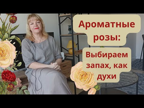 Видео: Ароматные розы: выбираем запах, как духи. Когда лучше оценивать и какие выбирать сорта.