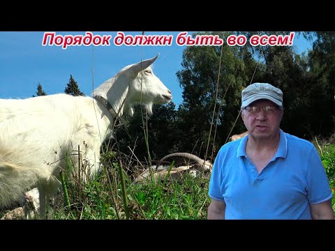 Видео: Красота требует сил. Запах свежей травы и звук пилы. И опять стройка.