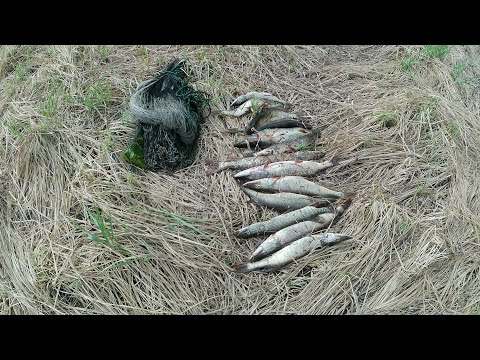 Видео: Кастинговая сеть 25-ка в сильный ветер!