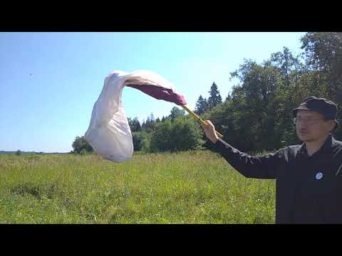 Видео: Всё ЗБС! № 2. Как ловить бабочек