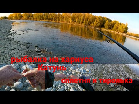 Видео: Ловля хариуса на реке Катунь.