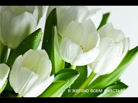 Видео: Молитва за мир во всем мире! Live 09.11.2025