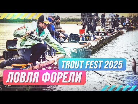 Видео: Ловля форели. Trout Fest 2025. #OnlySpin