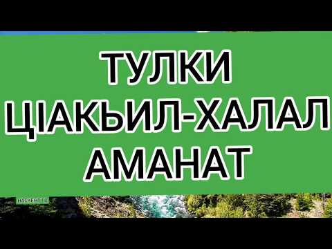 Видео: ТУЛКИ-ЦIАКЬИЛ-ХАЛАЛ АМАНАТ