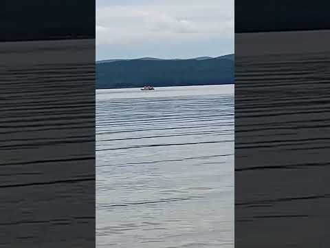 Видео: МАРИНА ЗУБЧЕНКО в прямом эфире!