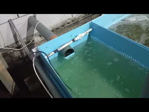 Видео: Отопление в УЗВ для форели не нужно.