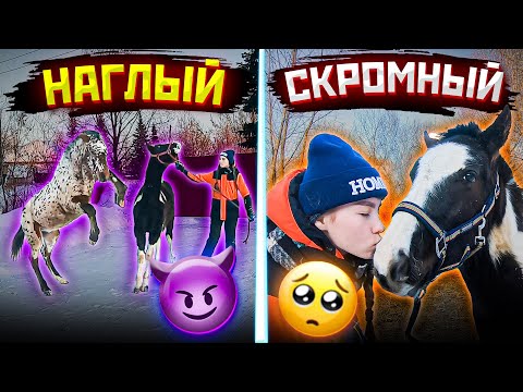 Видео: VLOG в Конюшне ! Занятие с ЖЕРЕБЁНКОМ Харди // Конная Прогулка