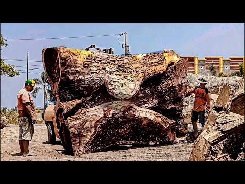 Видео: Лес Трембези, губы дьявола, гнездо кобры!! распиловка твердого картона на лесопилке
