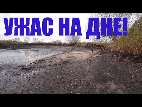 Видео: ОСУШИЛИ ДЕРЕВЕНСКИЙ ПРУД И ОБНАРУЖИЛИ!