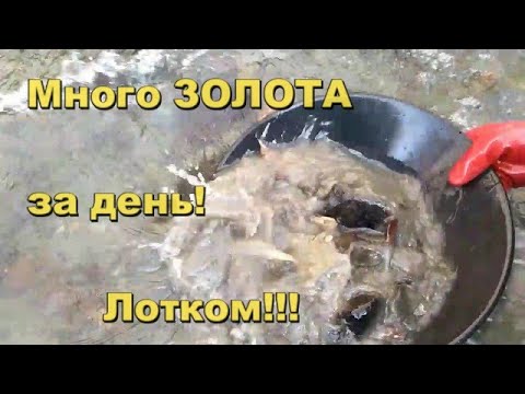 Видео: Ручьевое золото.