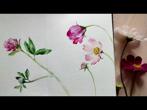 Видео: Мастер-класс #85 Скетч Космеи акварелью