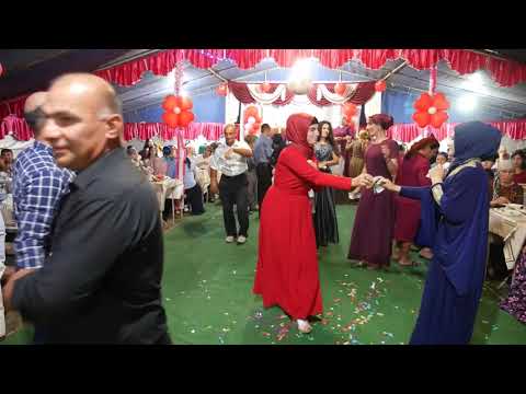 Видео: #Ahiska toy#Ахыска Кемран и Гульгез 09 08 2018 - 2 часть