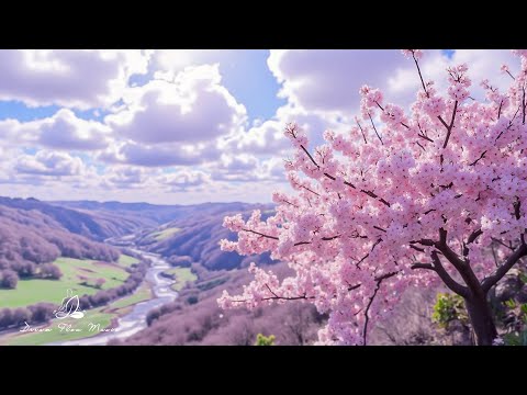 Видео: лечебная музыка для сердца и сосудов 🌸 успокаивает нервную систему и радует душу, Нежная музыка #2