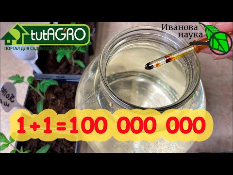 Видео: ХВАТИТ И 1 КАПЛИ! Реальный усилитель роста и урожая. Использую для семян и клубней и очень доволен!