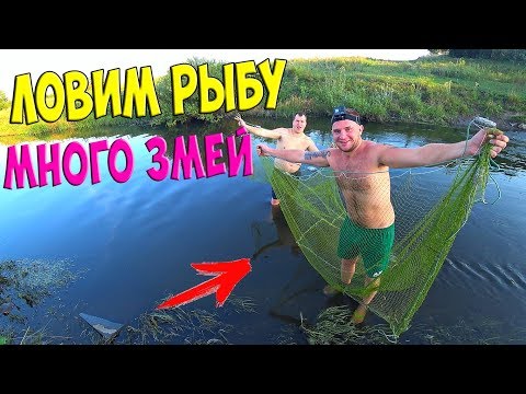 Видео: ЛОВИМ РЫБУ НЕВОДОМ! ( СЕТЬЮ ) МНОГО ЗМЕЙ!