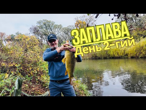 Видео: Заплава день другий