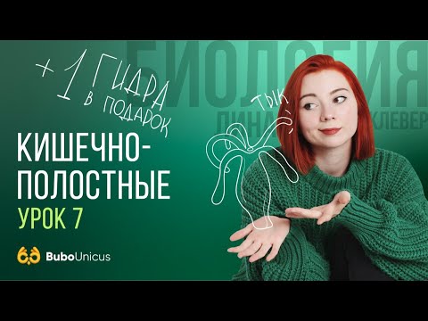 Видео: Кишечно-полостные | БИОЛОГИЯ ЕГЭ | Лина Клевер
