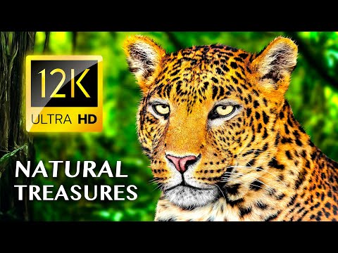 Видео: Самые Захватывающие Природные Сокровища Земли 12K ULTRA HD