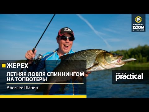 Видео: Жерех. Летняя ловля спиннингом на топвотеры. Алексей Шанин. Anglers Practiсal