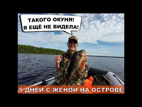 Видео: Жизнь на острове с женой 5 дней. Карелия. Рыбалка, грибы, ягоды