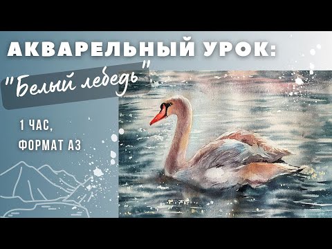 Видео: Урок пошаговый #акварель #painting #урокрисования #watercolor #illustration #aquarelle #лебедь #art