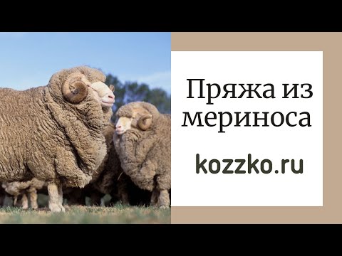 Видео: Все о мериносе (виды, крутки, история)