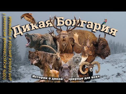 Видео: 🐻‍❄️🥶🌨️ Дикая Болгария 1: Ноев ковчег  🤖💯(100% ИИ для голоса диктора и перевода) - WB 01