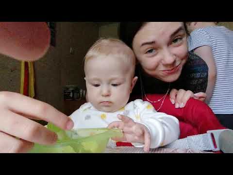 Видео: ПЕРВЫЙ прикорм / СТУЛЬЧИК для кормления Inglesina Fast