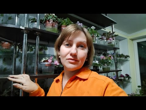 Видео: Ура! Новий стелаж для фіалок!