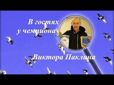 Видео: Паклин чемпион