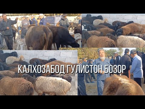 Видео: Калхозабод Гулистон бозор 👍 👍 👍 