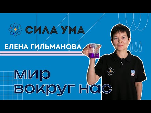 Видео: Мир вокруг нас