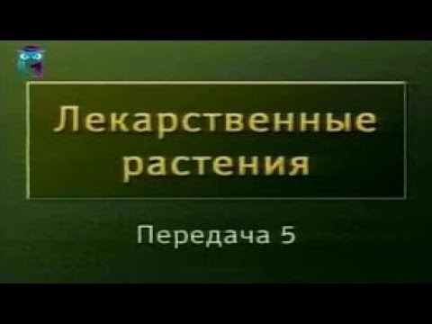 Видео: Передача 5. Химический состав лекарственных растений