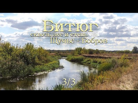 Видео: [3/3] Сплав по реке Битюг, сентябрь 2023
