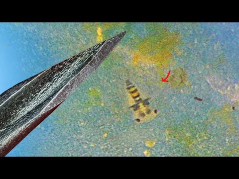 Видео: Вот что за МЕСЯЦ ВЫРОСЛО в водопроводной ВОДЕ 😮