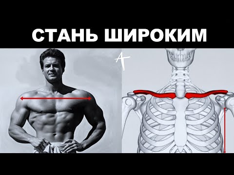 Видео: Как сделать Плечи шире, а Талию уже — единственный способ!